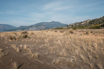 Scenic view of landscape against sk in mugla