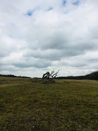 Bicycle on field against sky