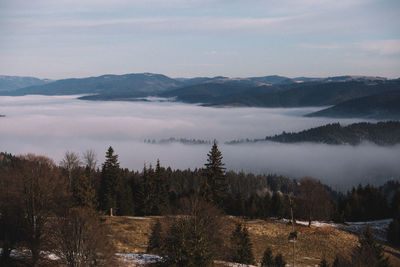 Scenic view of landscape against sky