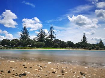 Scenic view of trees against blue sky