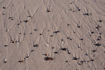 Beach photo 