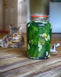 Cat in jar on table