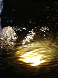 High angle view of swimming in sea