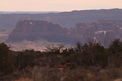 Scenic view of landscape