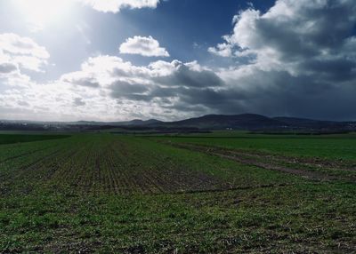 Scenic view of field against sky