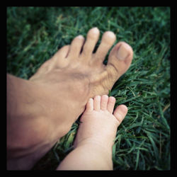 Close-up of baby feet