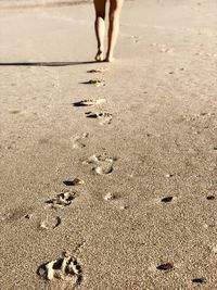 Low section of person standing on beach