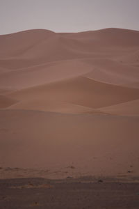 Scenic view of desert