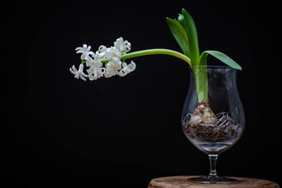 Close-up of vase on table