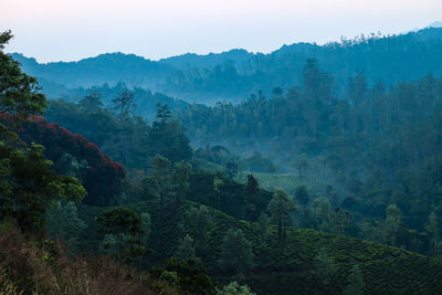 Scenic view of trees and mountains against sky