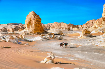Camels walking amidst rock formations on desert against clear blue sky