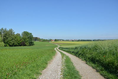 Dirt road amidst field against clear sky