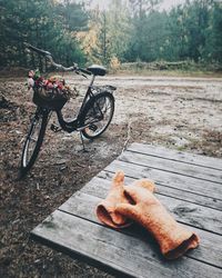 High angle view of cat on bicycle