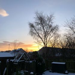 Bare tree against sky during winter