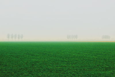 Scenic view of grassy field against sky