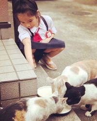 Schoolgirl crouching by cats having milk on footpath
