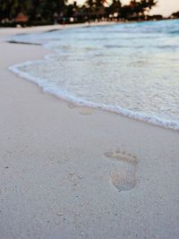 Close-up of beach