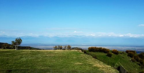 Scenic view of field against blue sky