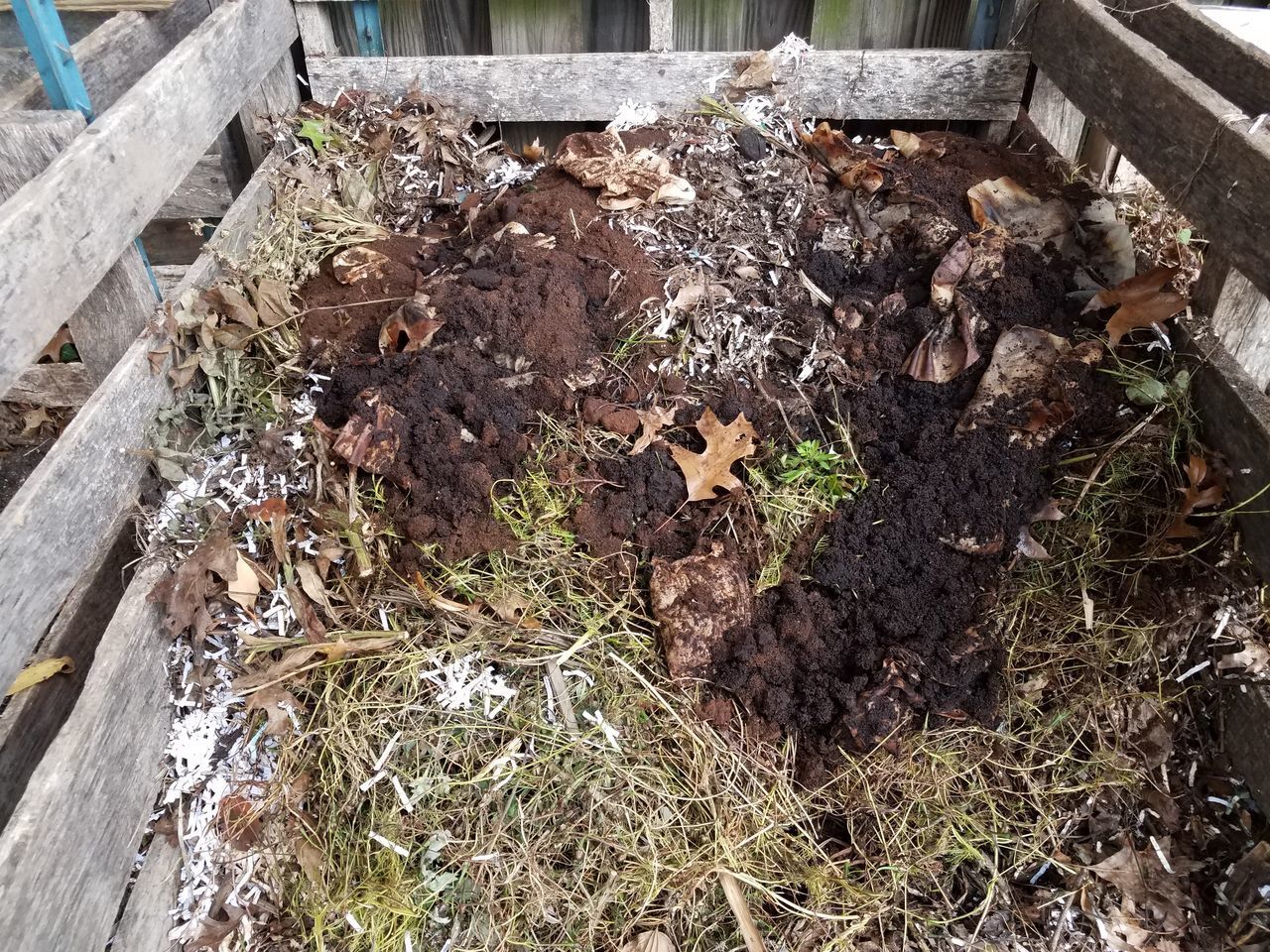 HIGH ANGLE VIEW OF PLANT GROWING ON FIELD