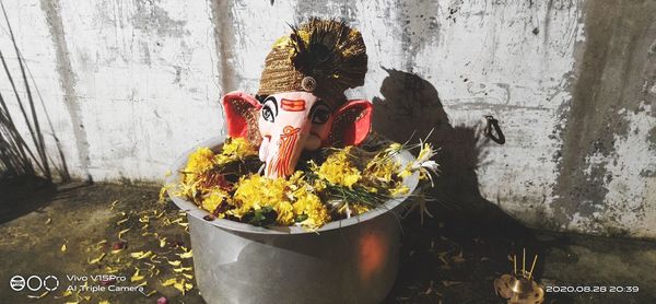 Close-up of potted plant against wall