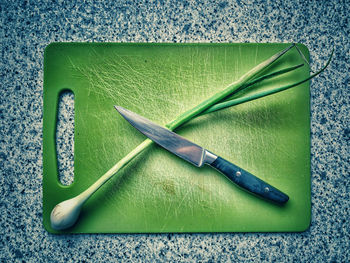 High angle view of vegetables on table