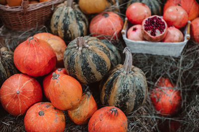 Lots of fresh bright orange pumpkins lying in the hay. autumn decoration. october and november. 