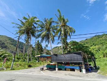 Palm trees on road against sky, fruit stall at road side 