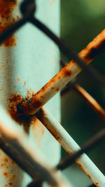 Close-up of metal fence