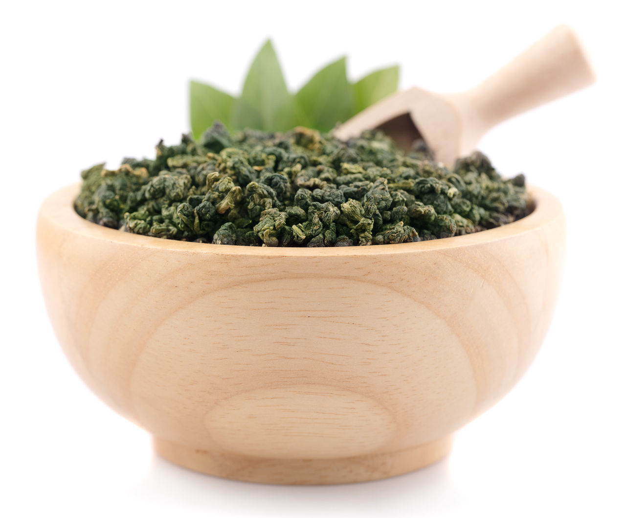 CLOSE-UP OF POTTED PLANT ON WHITE TABLE