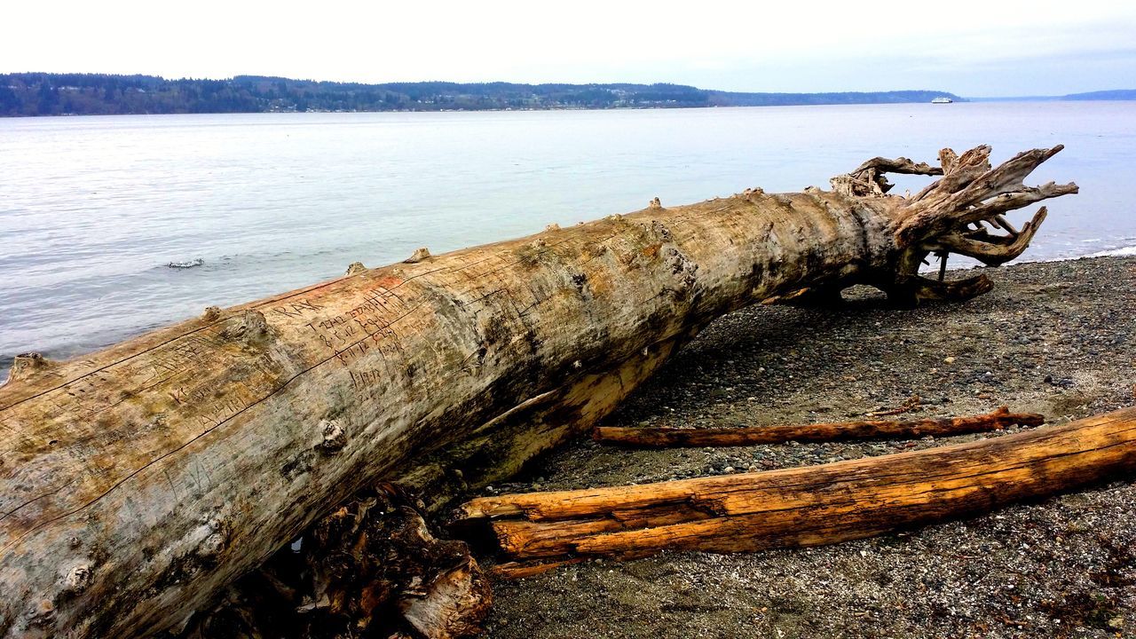 Mukilteo Beach