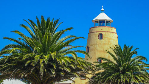 Low angle view of palm tree and building against sky