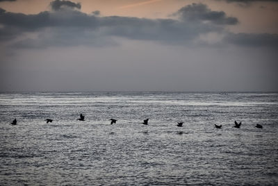 Group of people swimming in sea