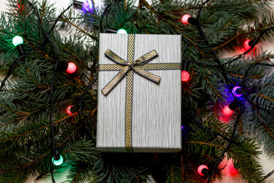 Close-up of christmas tree