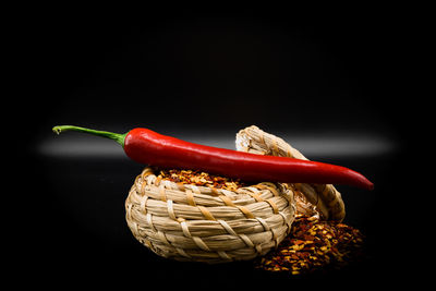 Close-up of plant against black background