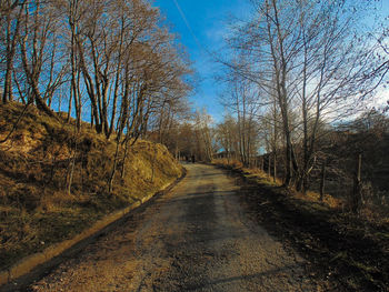 Road amidst bare trees against sky