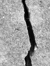 Low section of person legs