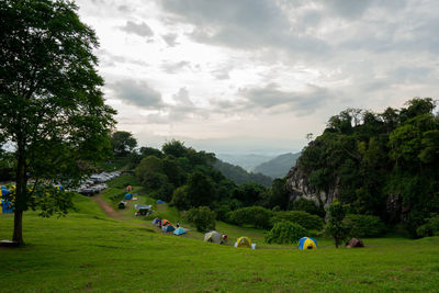 Scenic view of grassy field against sky