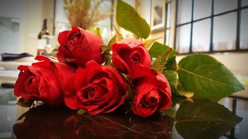 Close-up of rose roses