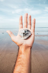 Cropped image of hand holding crab on beach