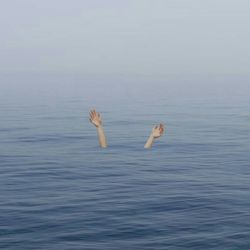 Birds swimming in sea