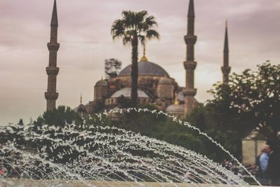 View of  the blue mosque against buildings in city