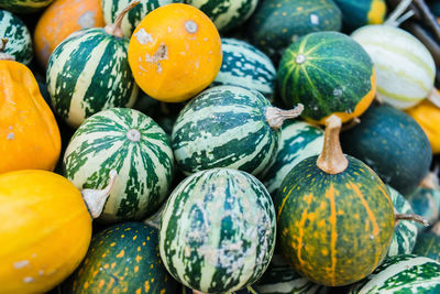 Close-up of pumpkins for sale in market