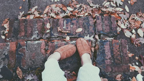 Low section of woman wearing shoes on steps during autumn