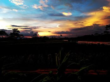 Scenic view of field against sky during sunset