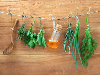 Various plants and oil hanging on rope against wall