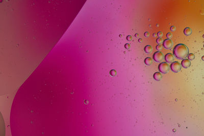 Top view oil bubbles drop on the water with colorful background, macro photography concept