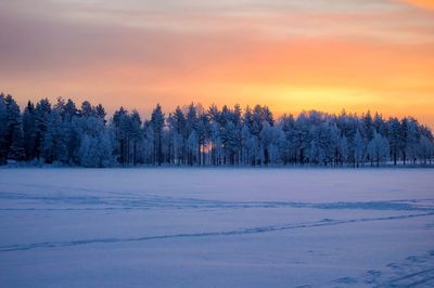 Trees on snow covered landscape against sky