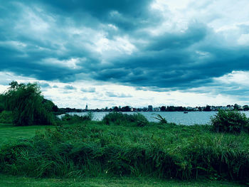 Scenic view of field against sky