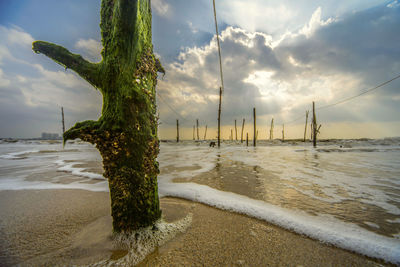 Scenic view of beach against sky