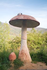 Mushroom growing on field against sky